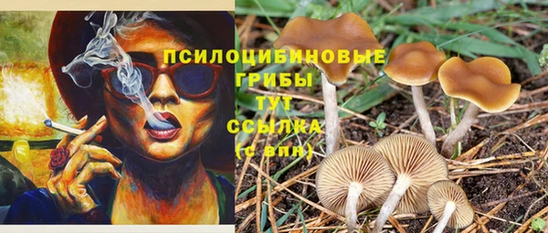 стафф Белокуриха