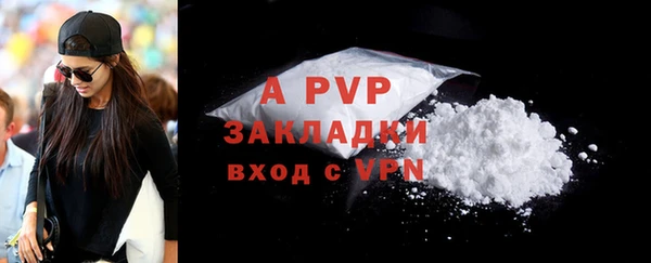 стафф Белокуриха