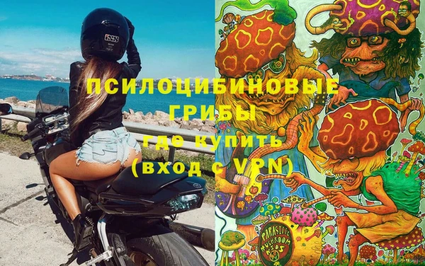 a pvp Белоозёрский
