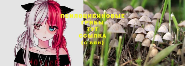 a pvp Белоозёрский